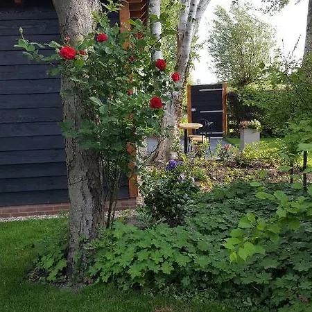 Apartment Chalet Castricum