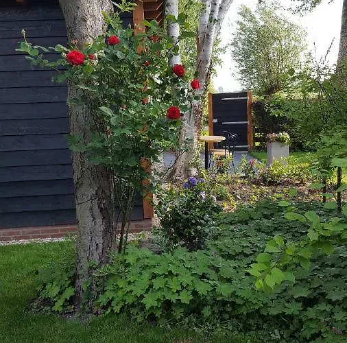 Apartamento Chalet Castricum